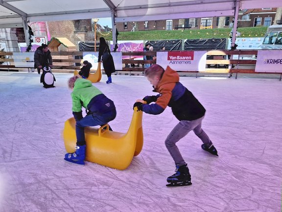 Kan een afbeelding zijn van skates