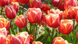 NL-doet zaterdag 16 maart 2019