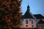 kerstboom 2015