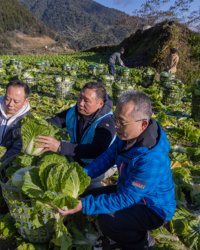 afbeelding voorkant van het magazine