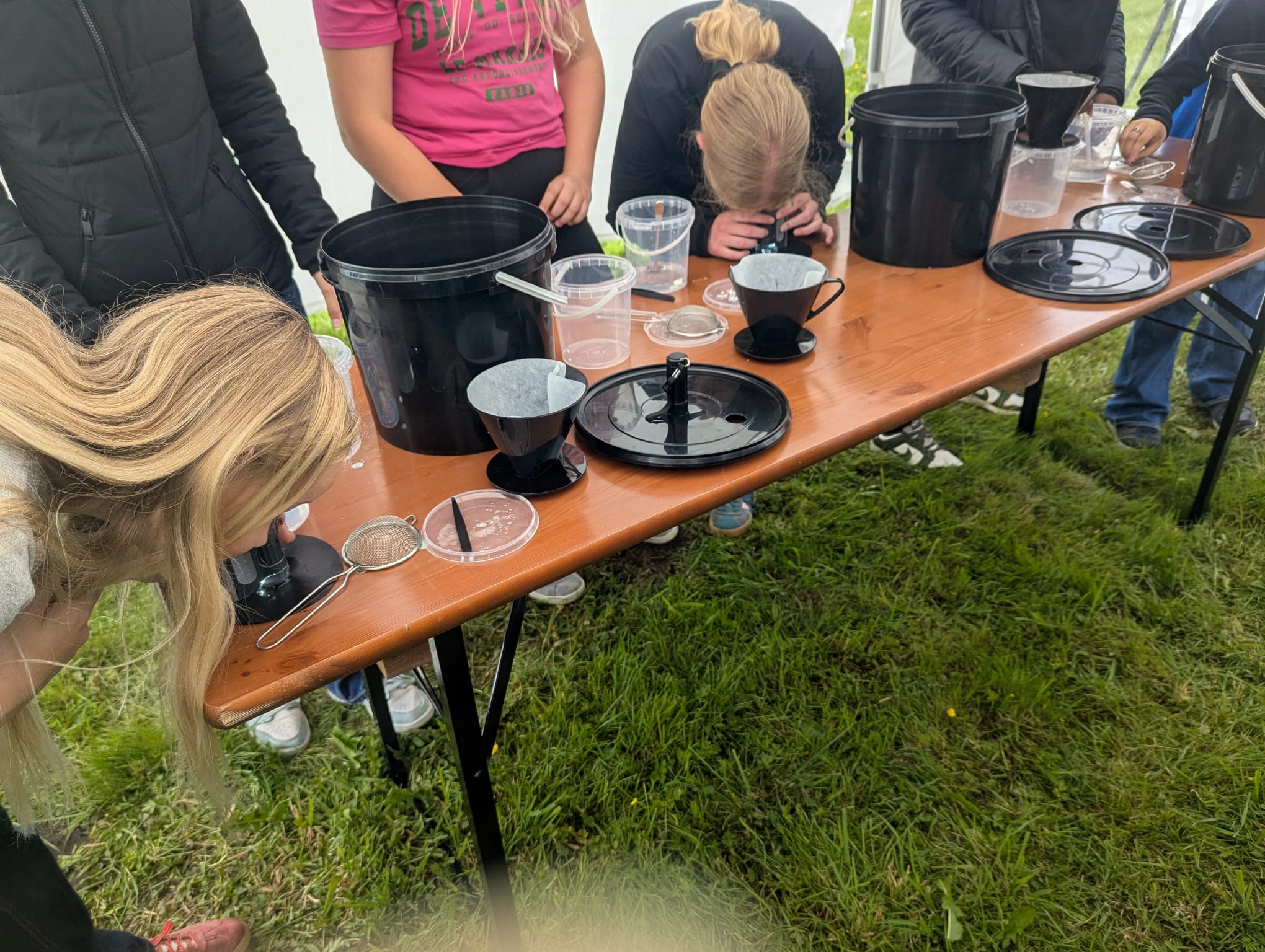 Proefjes waterkwaliteit
