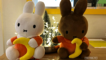 Afbeelding voor Rotary Helpt Project 'Nijntje knuffels cadeau aan december baby's.'