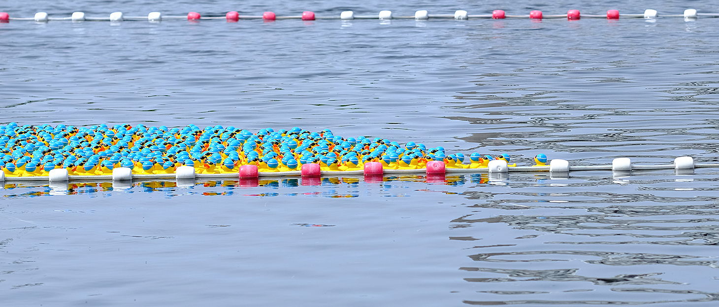 Eendjes onderweg