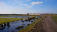 De Amsterdamse Waterleidingduinen by Piet