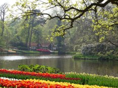 Keukenhof by Harry