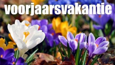 Wanneer is de voorjaarsvakantie in 2024 - Vakantiegids 2024