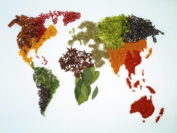 World Map With Spices And Herbs by Yamada Taro