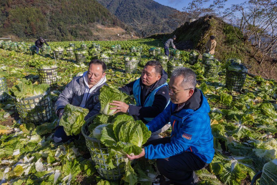 afbeelding voorkant van het magazine