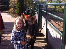 Pony verzorgen!