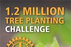 Tree planting challenge