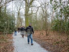 De paden op de bomen in