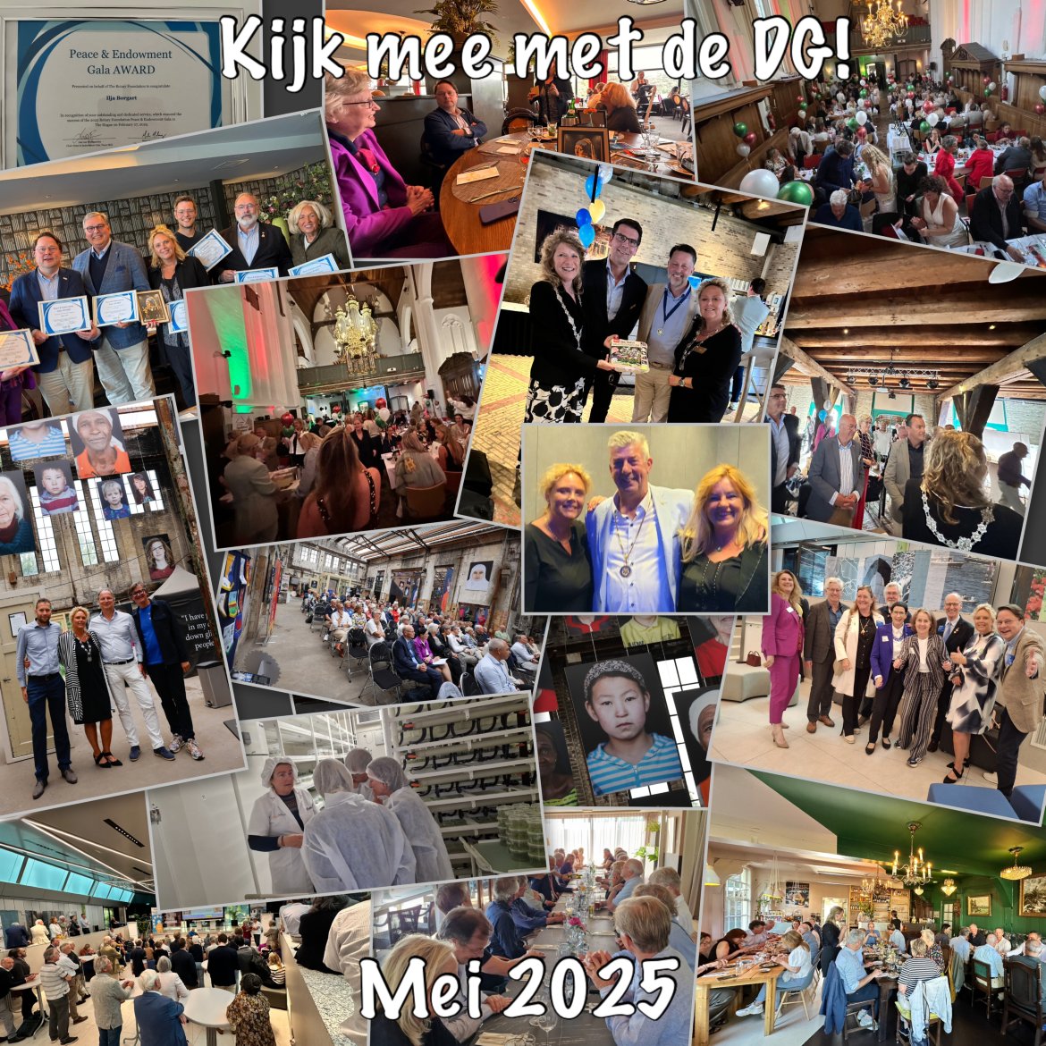 collage.jpg