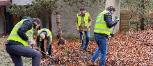 Tulpenbollen planten