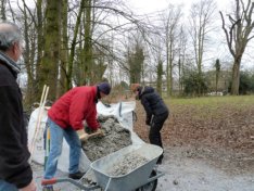 vele kruiwagens vullen met schelpen