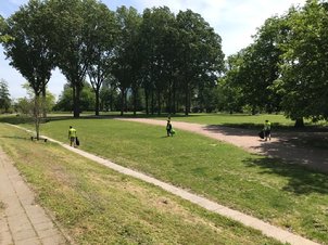 Afbeelding met boom, gras, buiten, lucht

Automatisch gegenereerde beschrijving