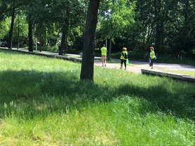 Afbeelding met gras, boom, buiten, veld

Automatisch gegenereerde beschrijving