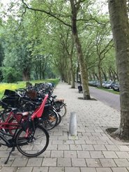 Afbeelding met boom, buiten, grond, fiets

Automatisch gegenereerde beschrijving