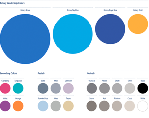 Tell Rotary's Story - Voice and Visual Identity Guidelines for Rotarians - Color Palette