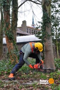 rotaryclub-alkmaar-de-waag-snoeien