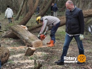 Boom in stukjes door Rotaryclub Alkmaar de Waag