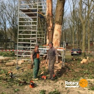 rotaryclub-beilen-boomkunst