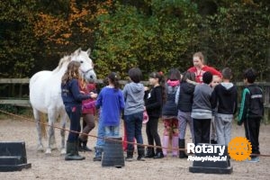 rotaryclub-hilversum-international-pony-aaien