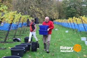 rotaryclub-zeist-wijngaard