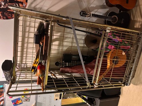Afbeelding met muziekinstrument, gitaar, overdekt, strijkinstrument

Automatisch gegenereerde beschrijving