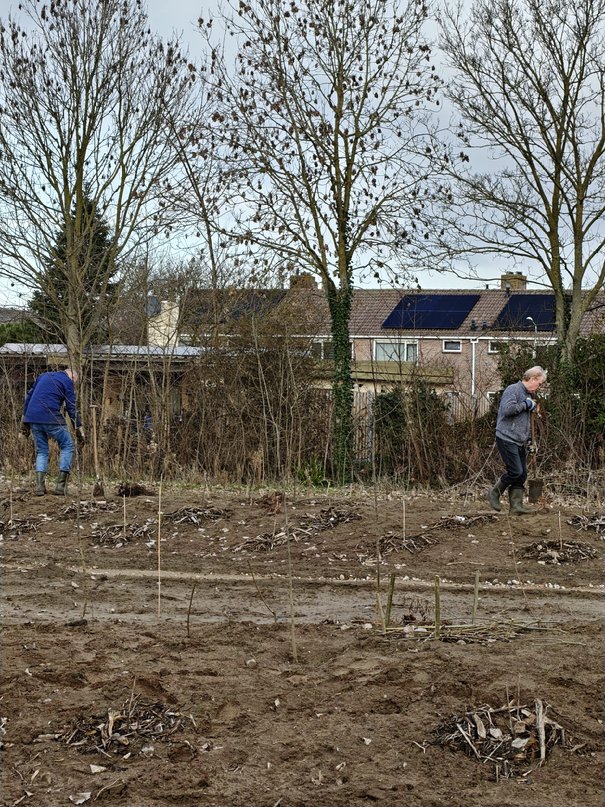 Afbeelding met buitenshuis, hemel, boom, aarde

Door AI gegenereerde inhoud is mogelijk onjuist.