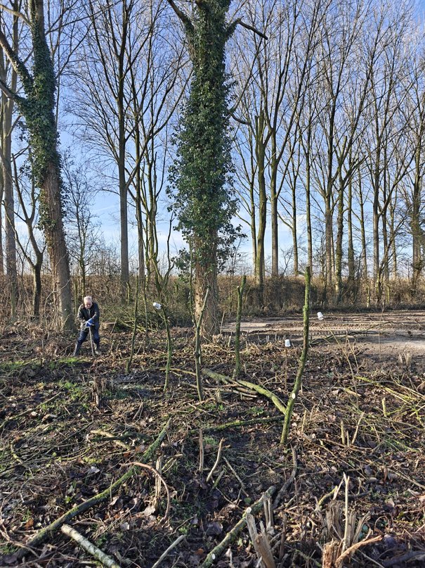 Afbeelding met buitenshuis, hemel, plant, gras

Door AI gegenereerde inhoud is mogelijk onjuist.