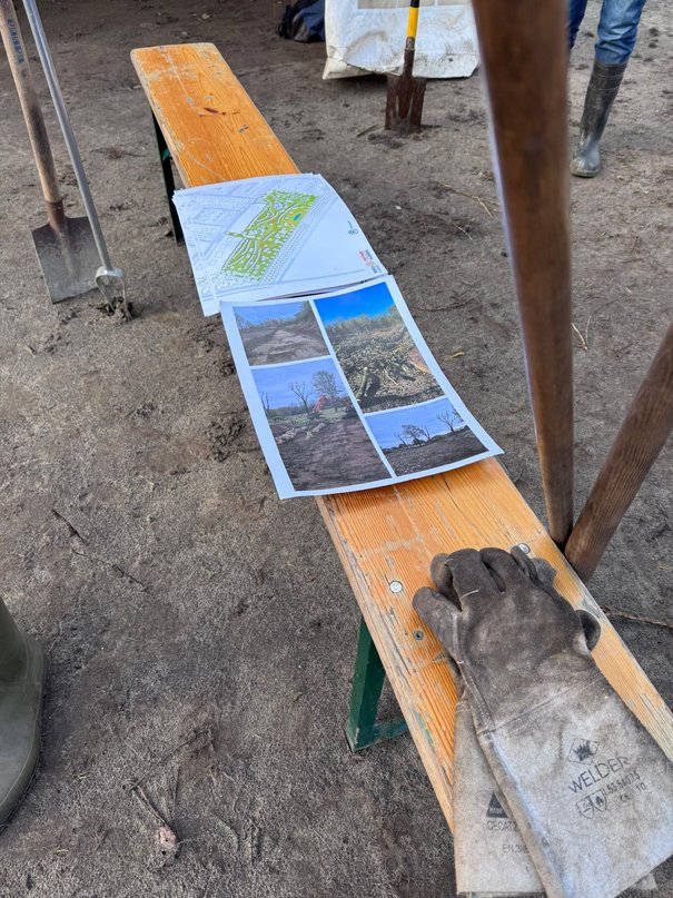 Afbeelding met grond, buitenshuis, schoeisel, houten

Door AI gegenereerde inhoud is mogelijk onjuist.