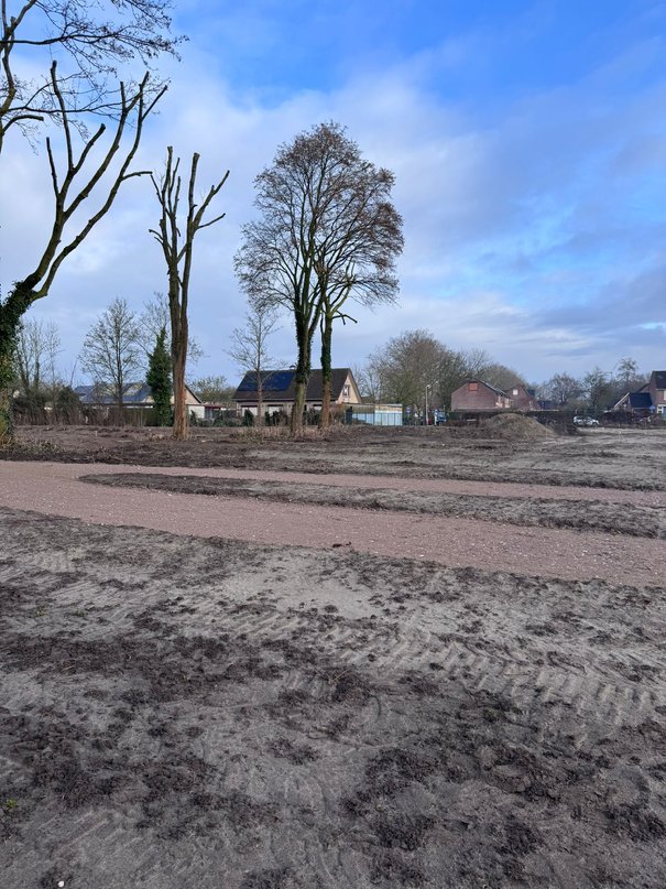Afbeelding met buitenshuis, hemel, grond, wolk

Door AI gegenereerde inhoud is mogelijk onjuist.