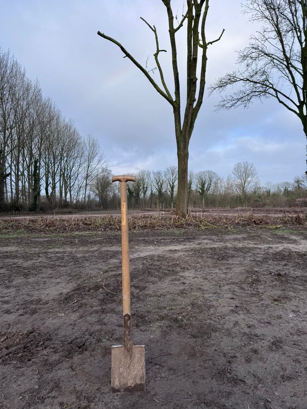 Afbeelding met buitenshuis, grond, hemel, boom

Door AI gegenereerde inhoud is mogelijk onjuist.