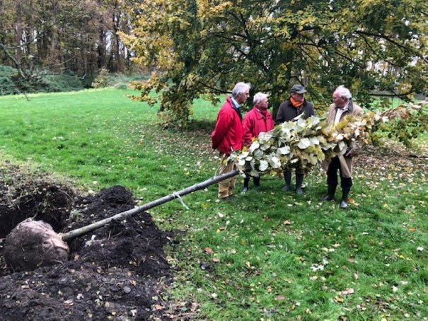 Afbeelding met gras, buiten, boom, man

Automatisch gegenereerde beschrijving