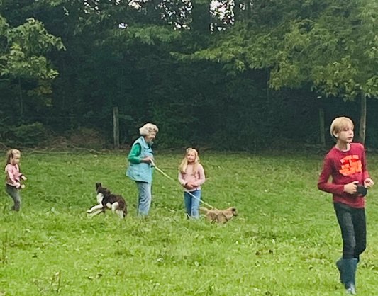 Afbeelding met gras, buiten, veld, spelen

Automatisch gegenereerde beschrijving