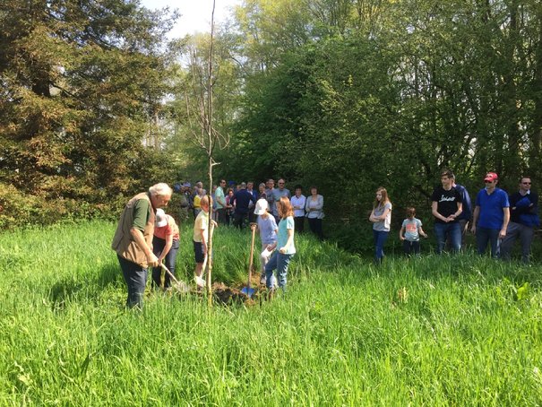 Afbeelding met gras, boom, buiten, plant

Beschrijving is gegenereerd met zeer hoge betrouwbaarheid