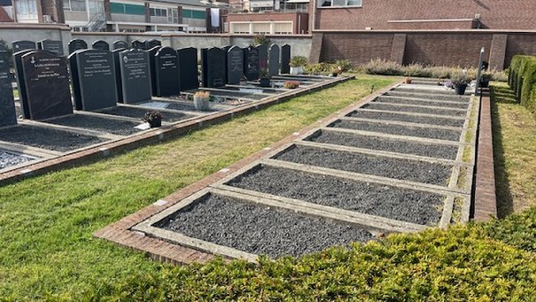 Afbeelding met buitenshuis, gras, plant, graf

Automatisch gegenereerde beschrijving