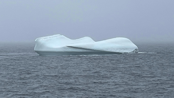 Afbeelding met ijsberg, natuur, Zee-ijs, Polaire ijskap

Automatisch gegenereerde beschrijving