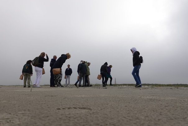 Afbeelding met strand, lucht, buiten, natuur

Automatisch gegenereerde beschrijving