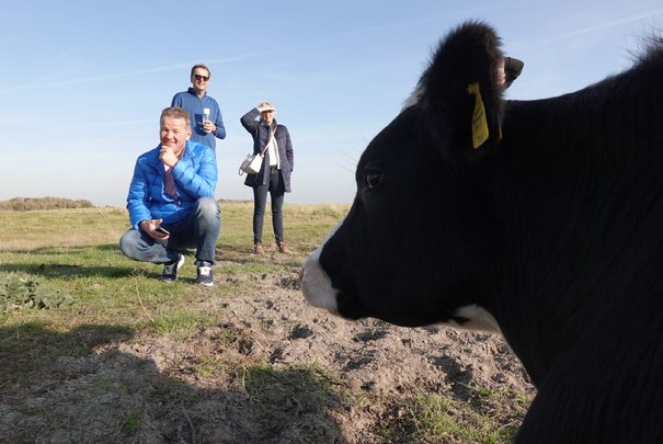 Afbeelding met lucht, buiten, gras, koe

Automatisch gegenereerde beschrijving