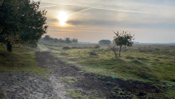 Afbeelding met gras, buiten, lucht, veld

Automatisch gegenereerde beschrijving