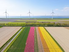 Afbeelding met hemel, buitenshuis, gras, landschap

Automatisch gegenereerde beschrijving