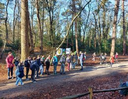 Afbeelding met boom, buitenshuis, grond, mensen

Automatisch gegenereerde beschrijving