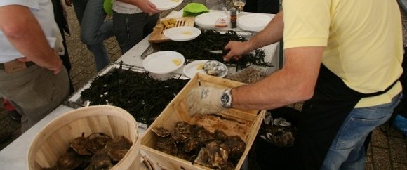 Oesters en schelpdieren