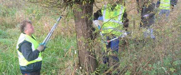 Rotary in actie