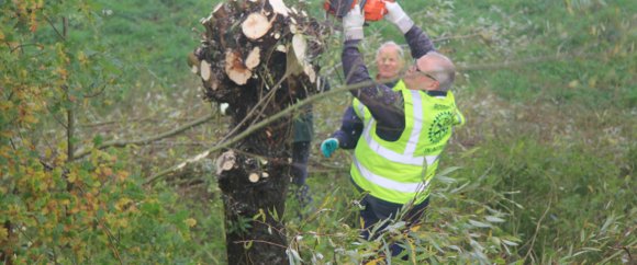 Rotary in actie