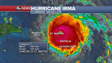 C:\Users\Tanja\Pictures\Irma.jpg