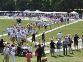 C:\Users\hansk_000\AppData\Local\Microsoft\Windows\INetCache\Content.Word\samenloop impressie 2.jpg