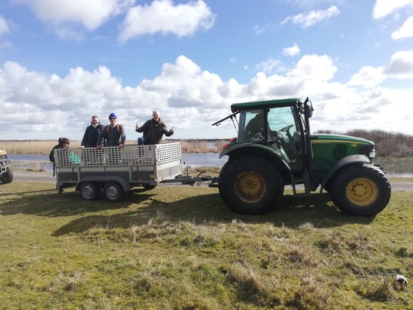 Afbeelding met gras, hemel, buitenshuis, truck

Automatisch gegenereerde beschrijving