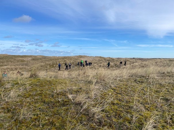 Afbeelding met gras, hemel, buitenshuis, veld

Automatisch gegenereerde beschrijving